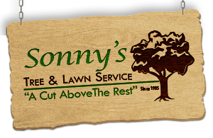 Sonny's Tree & Lawn Service